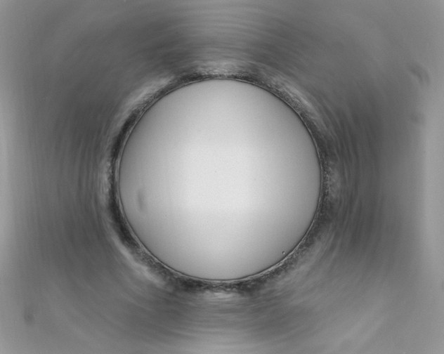 X0000112390586200909032015