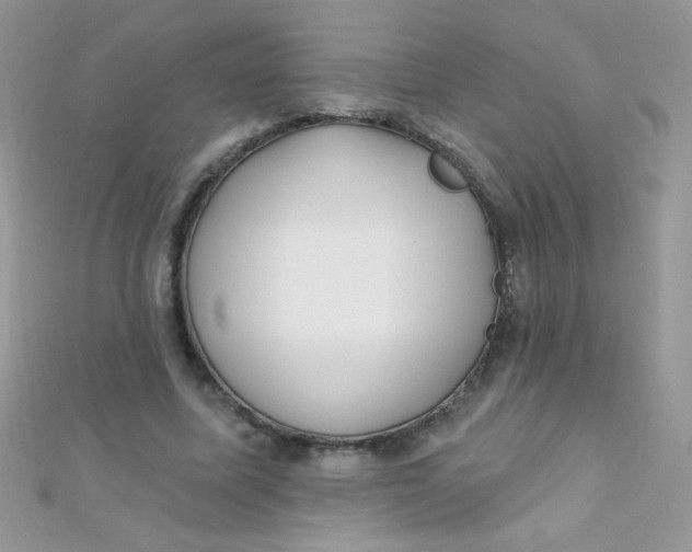 X0000112390587200909032015