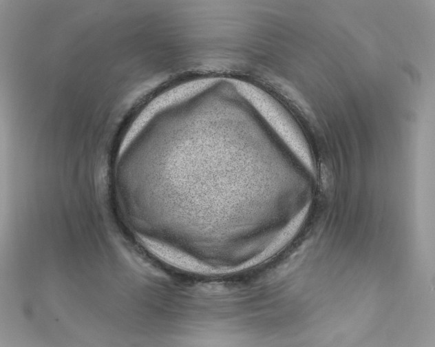 X0000112390588200909032015