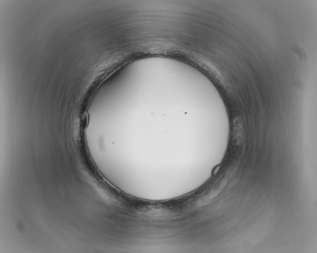 X0000112390589200909032015