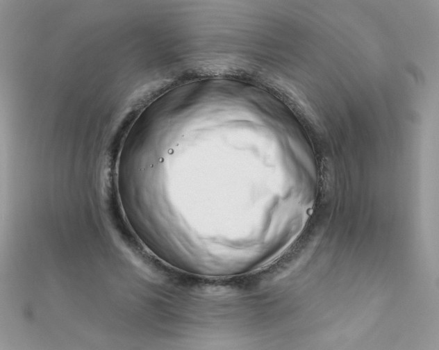 X0000112390590200909032015