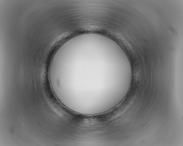 X0000112390591200909032015