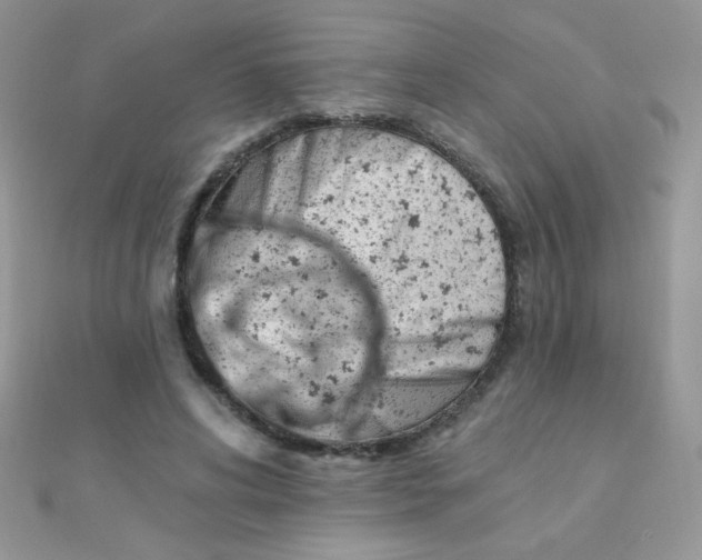 X0000112390592200909032015