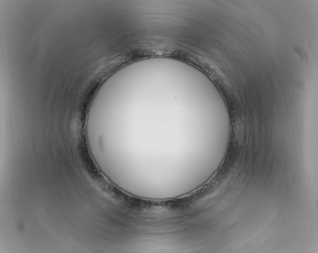 X0000112390594200909032015