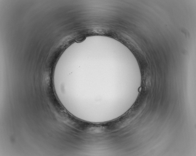 X0000112390595200909032015