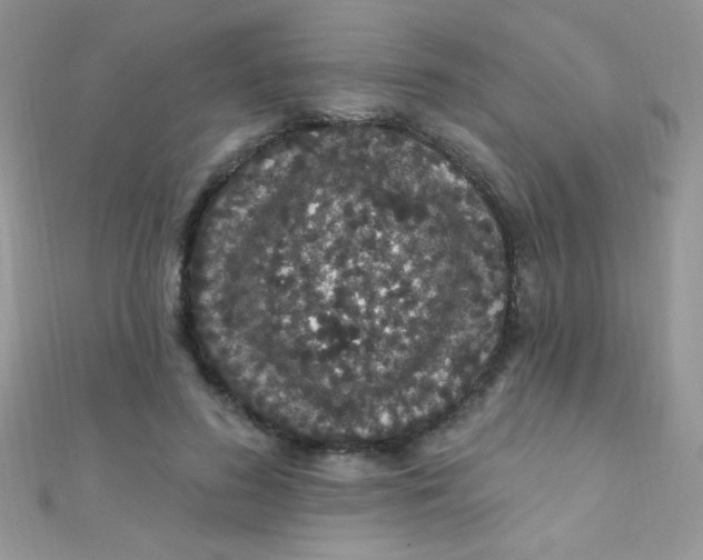 X0000112390596200909032015