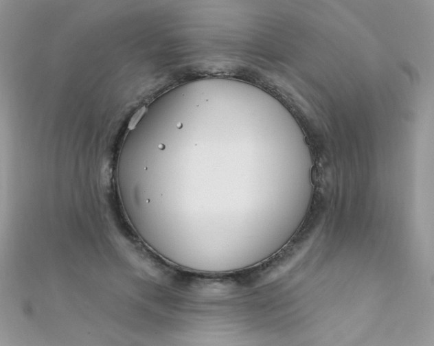 X0000112390597200909032015