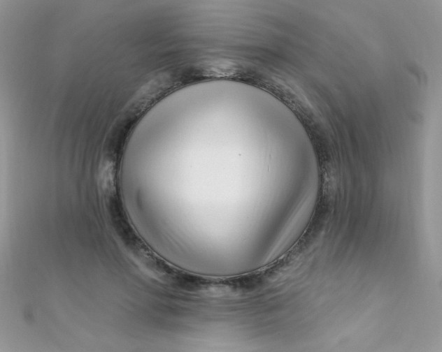 X0000112390598200909032015