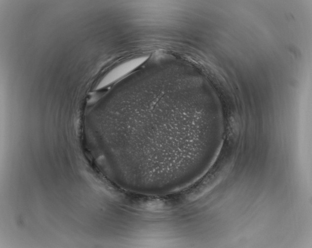 X0000112390600200909032015