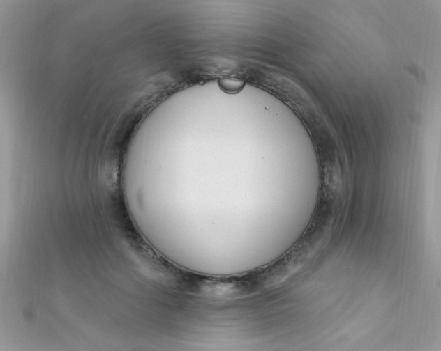 X0000112390602200909032015