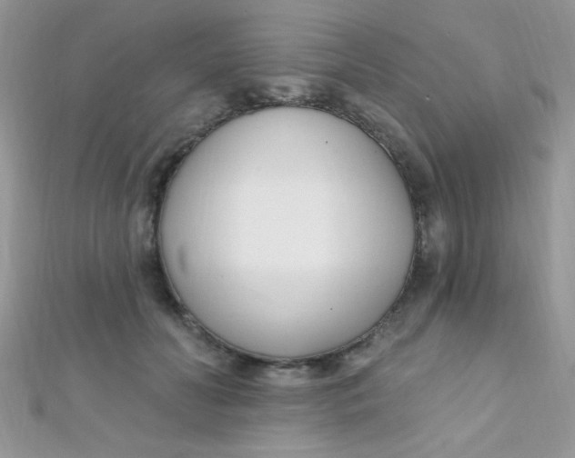 X0000112390606200909032015