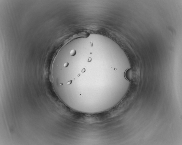 X0000112390608200909032015