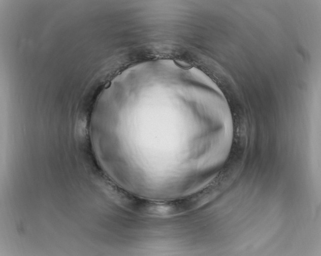 X0000112390610200909032015