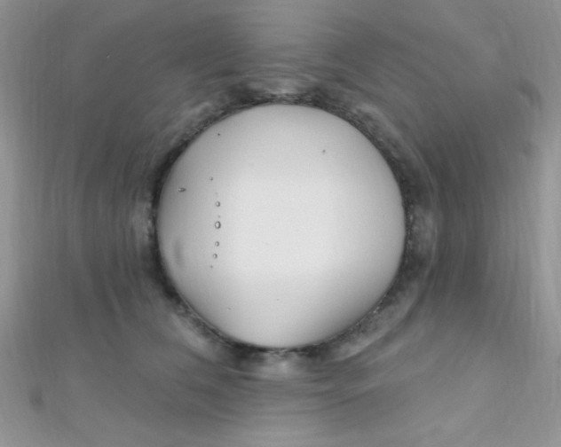 X0000112390612200909032015