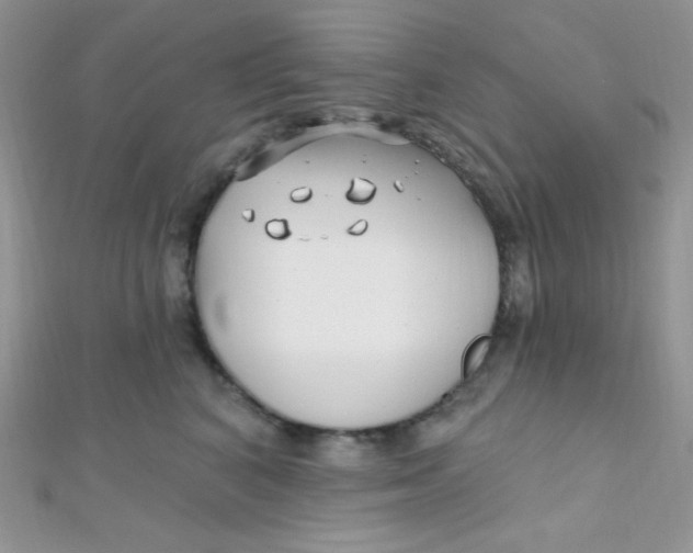 X0000112390616200909032015