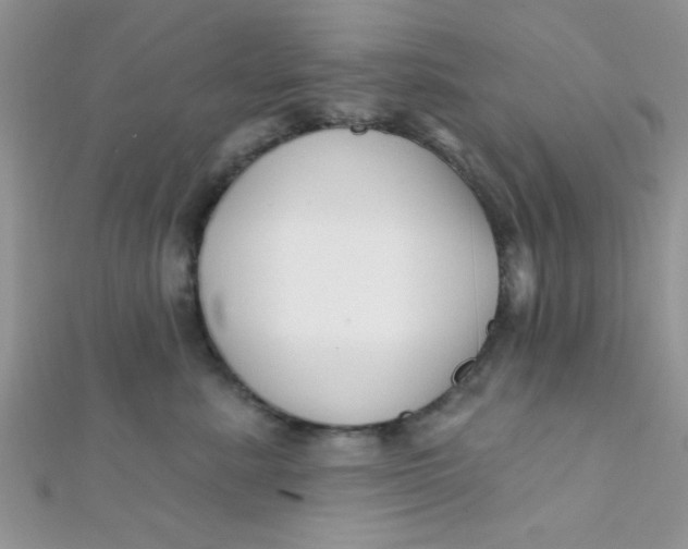 X0000112390619200909032015