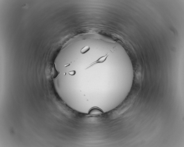 X0000112390620200909032015