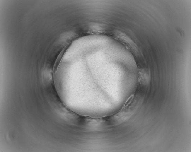 X0000112390621200909032015