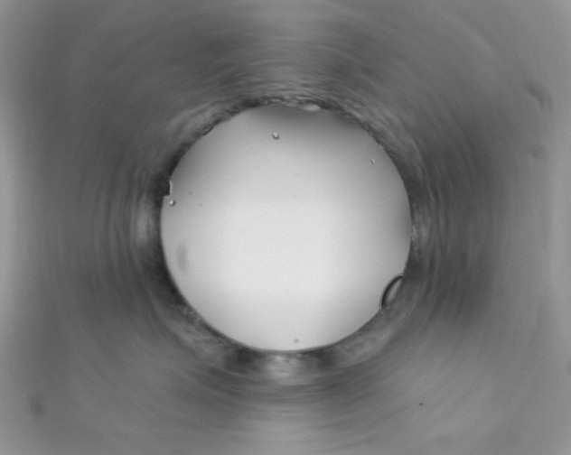 X0000112390623200909032015