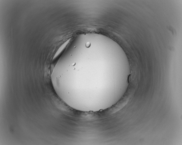 X0000112390624200909032015