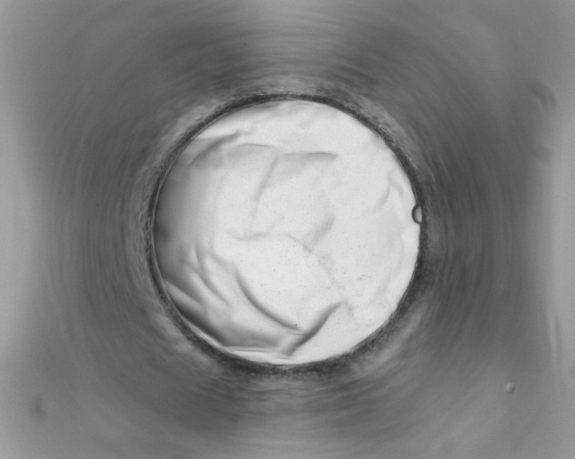 X0000112390625200909032014