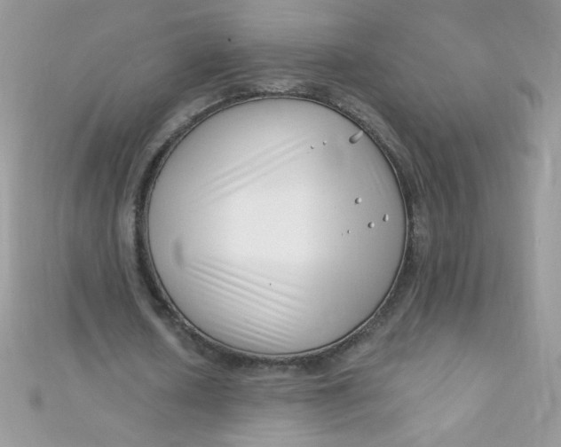 X0000112390626200909032014