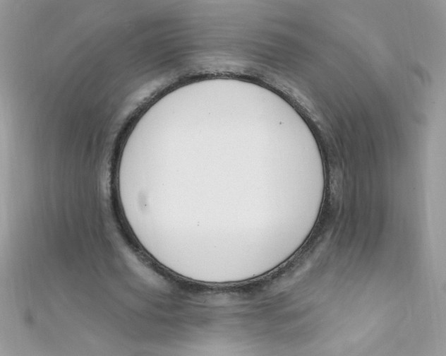 X0000112390629200909032014