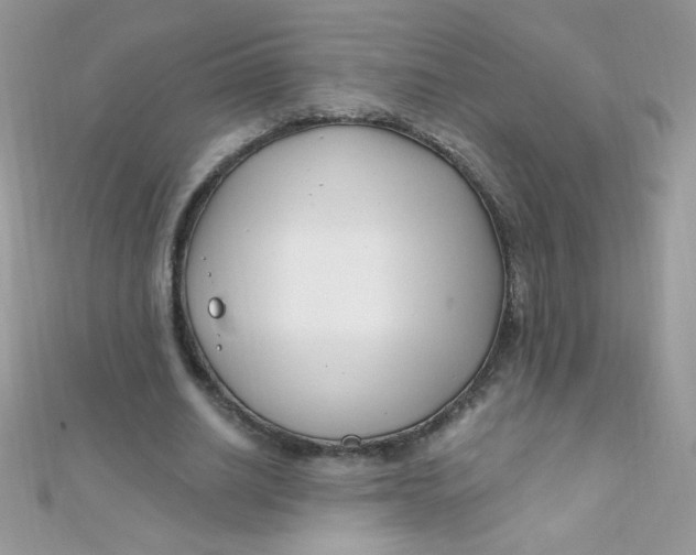 X0000112390630200909032014