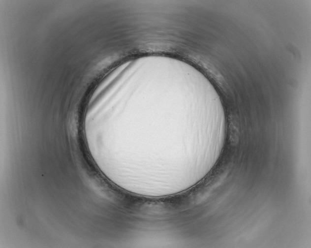 X0000112390631200909032014