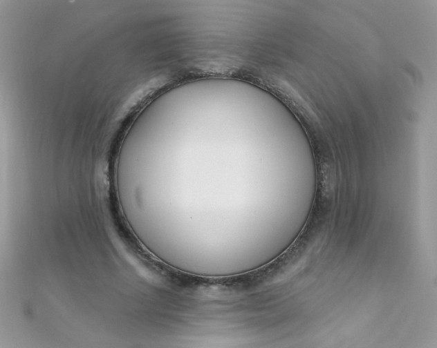 X0000112390634200909032014