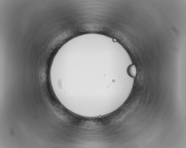 X0000112390635200909032014