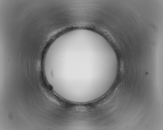 X0000112390636200909032014