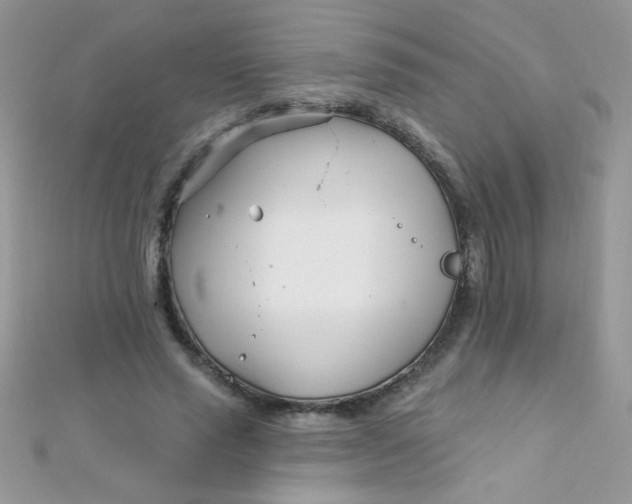 X0000112390637200909032014