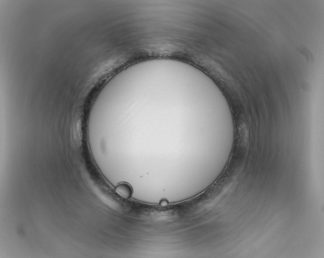 X0000112390638200909032014