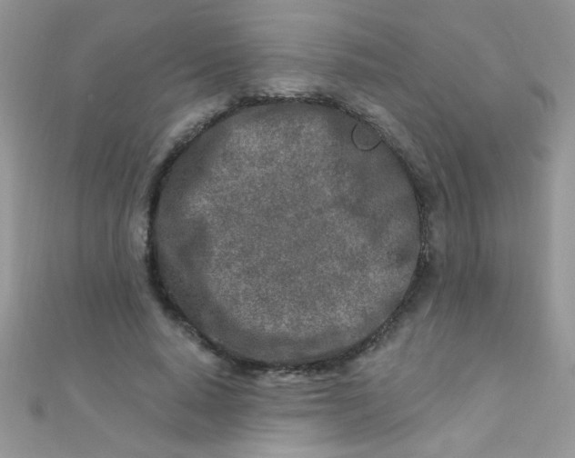 X0000112390640200909032015