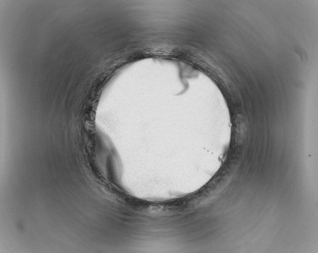 X0000112390641200909032015