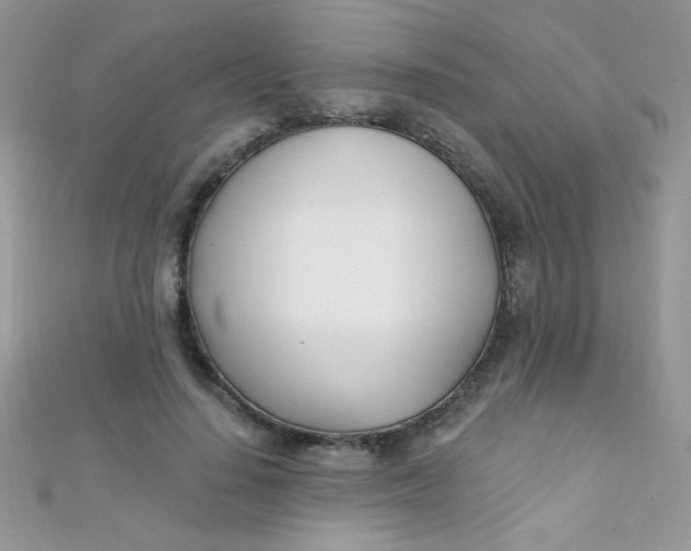 X0000112390644200909032015