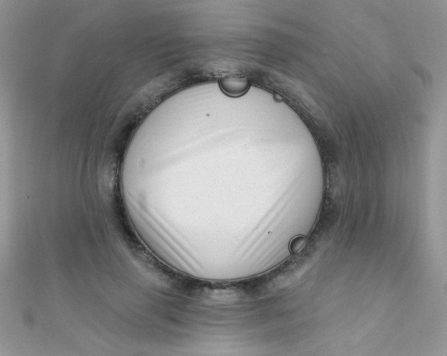 X0000112390645200909032015