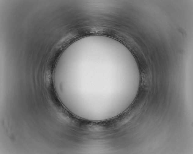 X0000112390648200909032015