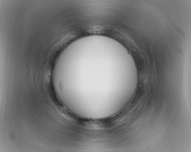 X0000112390652200909032015