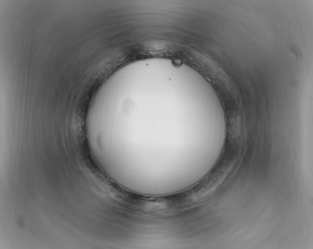 X0000112390653200909032015