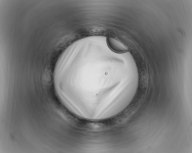 X0000112390654200909032015