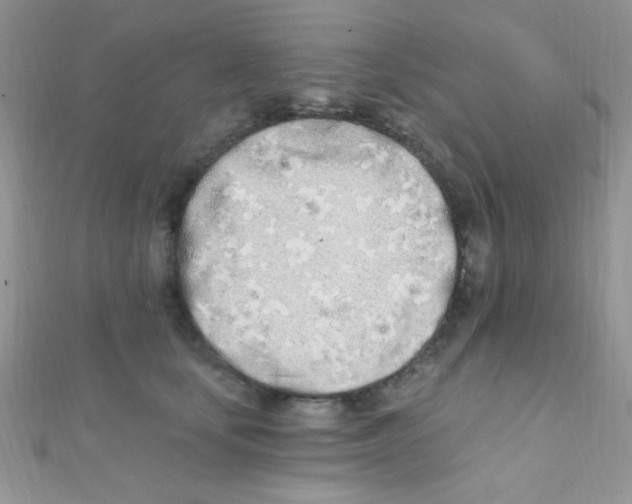 X0000112390659200909032015