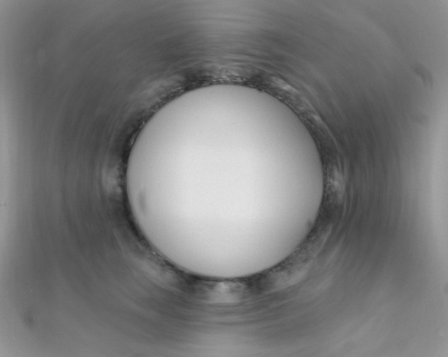 X0000112390663200909032015