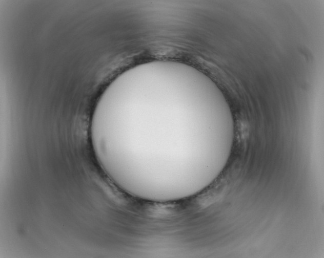 X0000112390664200909032015