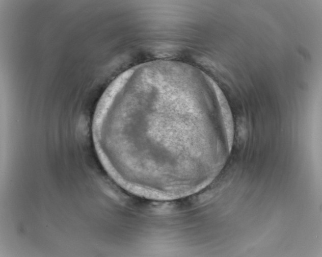 X0000112390667200909032015