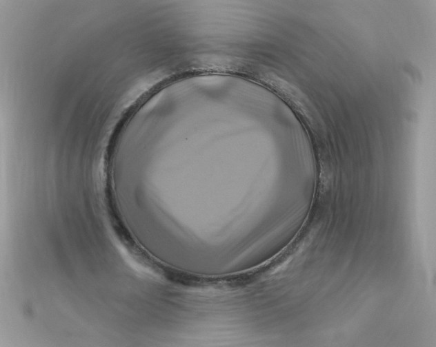 X0000112390674200909032014