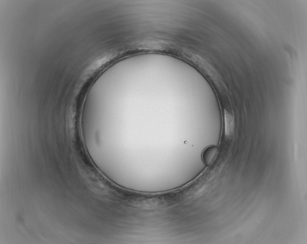 X0000112390675200909032014