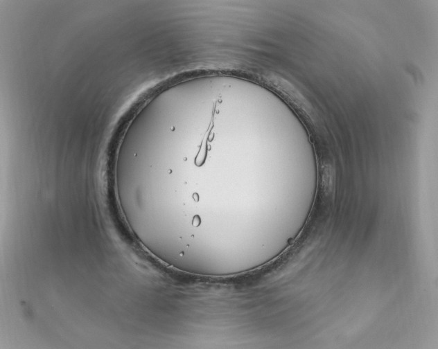 X0000112390676200909032014