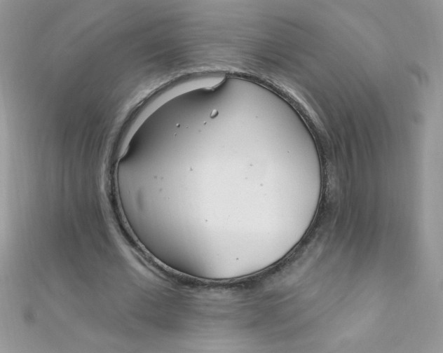 X0000112390677200909032014